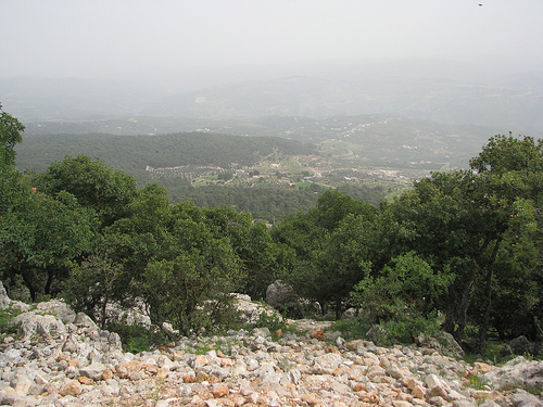 Dibeen Forest Reserve